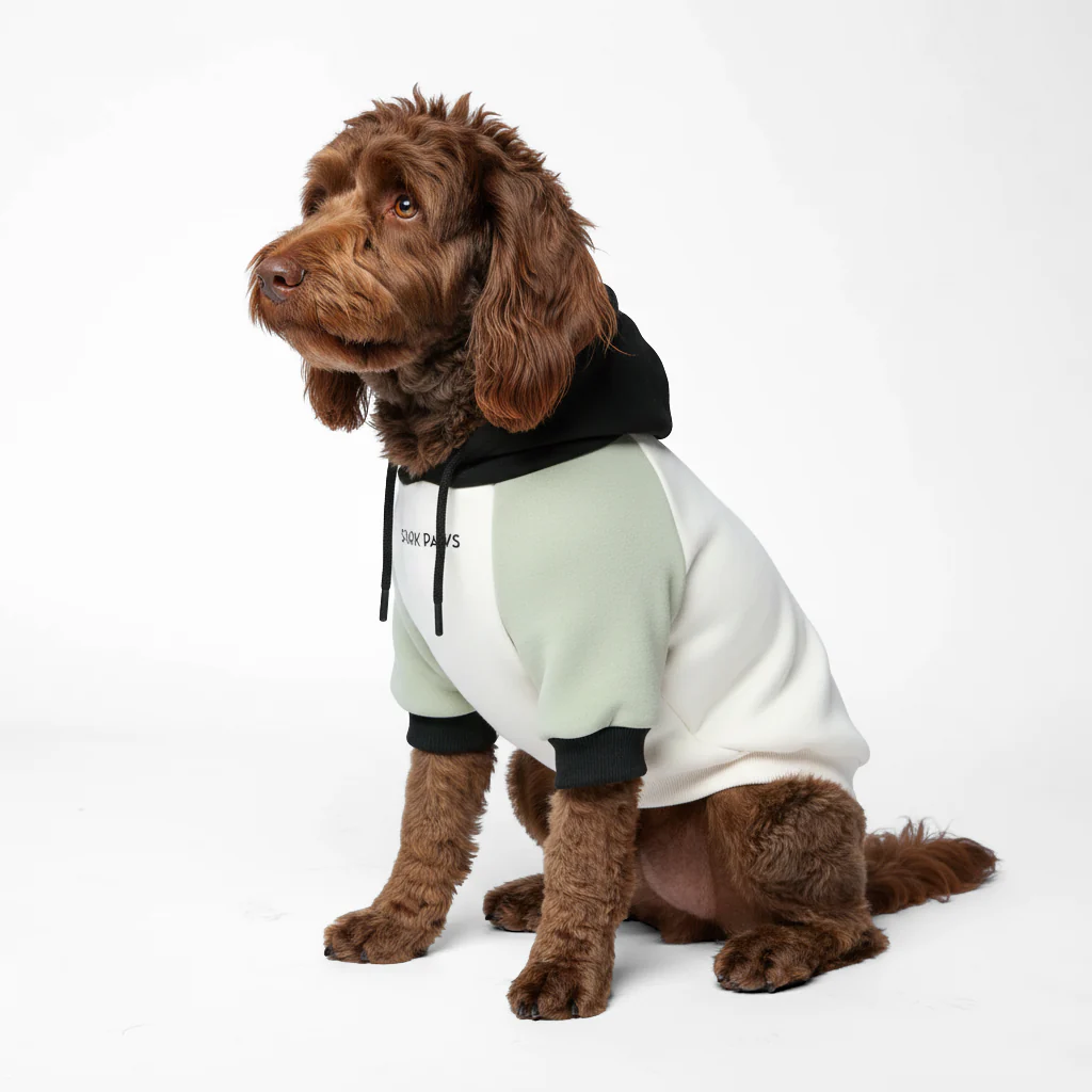 Product image 67