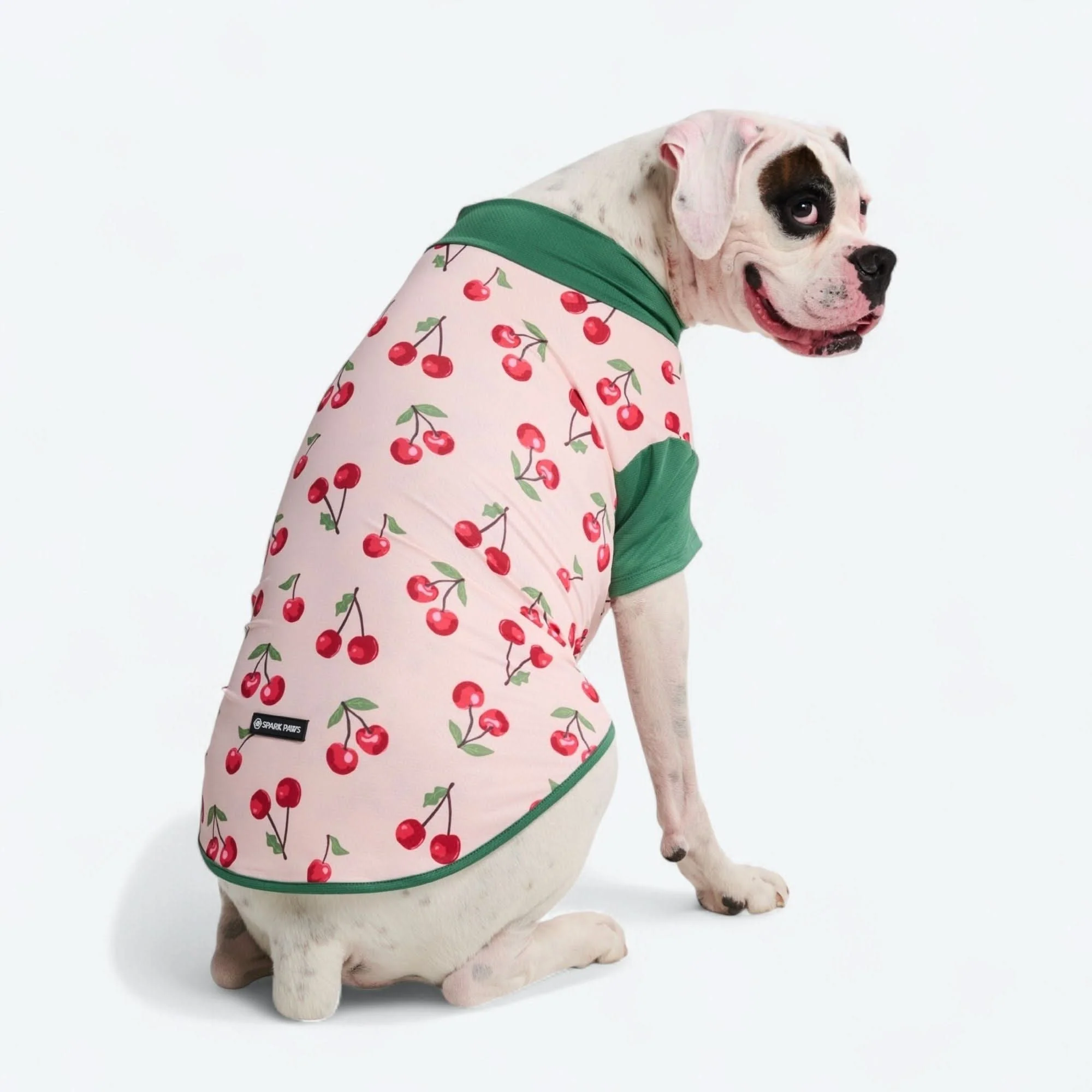 Product image 54