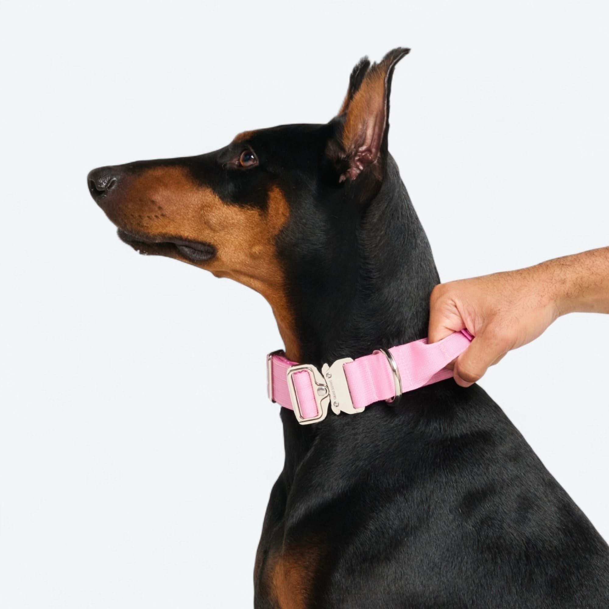 Product image 91